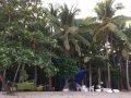 campsite view