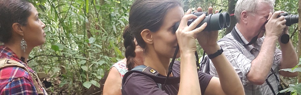 Image is not available